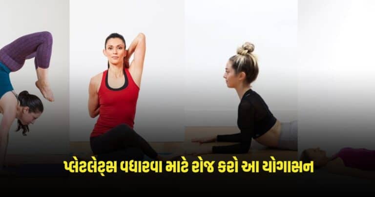 Yogasana For Platelets: કુદરતી રીતે પ્લેટલેટ્સ વધારવા માટે રોજ કરો આ યોગાસન