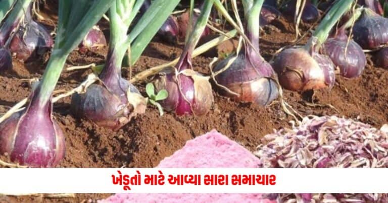 Indian Farmers: ભૂમિ પુત્રો માટે આવ્યા સારા સમાચાર, સરકારે હટાવ્યો આ વસ્તુ પર મુકેલો પ્રતિબંધ