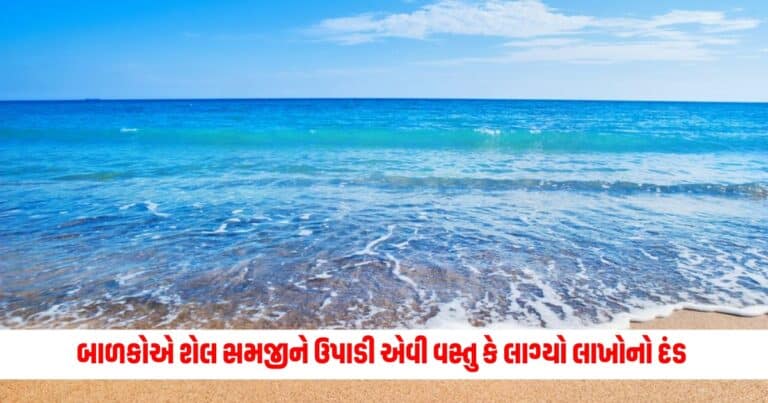 Ajab Gajab : બીચ પર ફરવા ગઈ મહિલા, બાળકોએ શેલ સમજીને ઉપાડી એવી વસ્તુ કે લાગ્યો લાખોનો દંડ