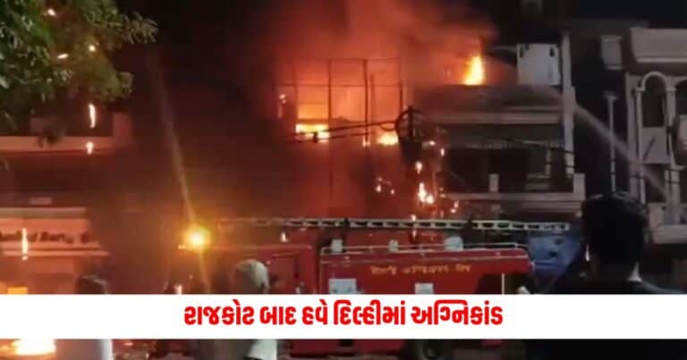 Delhi Baby Centre Fire Incident : રાજકોટ બાદ દિલ્હીમાં અગ્નિકાંડ, સાત બાળકોના જીવનદીપ ઓલવાયા, આ હતું ઘટનાનું કારણ