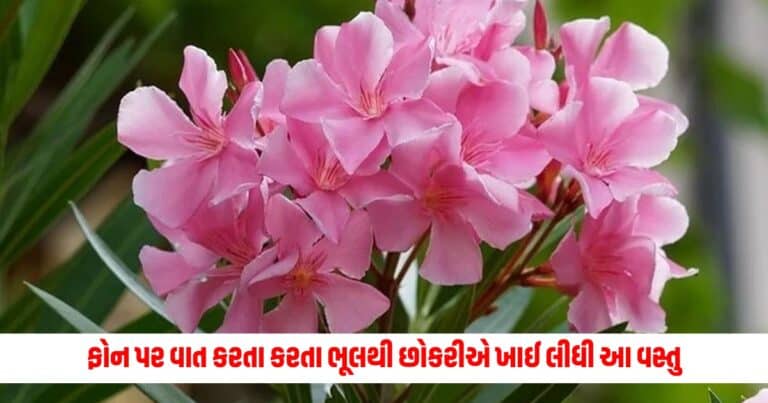 Ajab Gajab : ફોન પર વાત કરતા કરતા ભૂલથી છોકરીએ ખાઈ લીધી આ વસ્તુ, આવ્યું ભયાનક પરિણામ