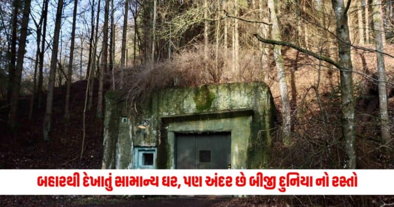 Kelvedon Hatch : બહારથી દેખાતું સામાન્ય ઘર, પણ અંદર છે બીજી દુનિયા નો રસ્તો, અંદરનો નજારો જોઈ પગ નીચેથી ખસી જશે જમીન