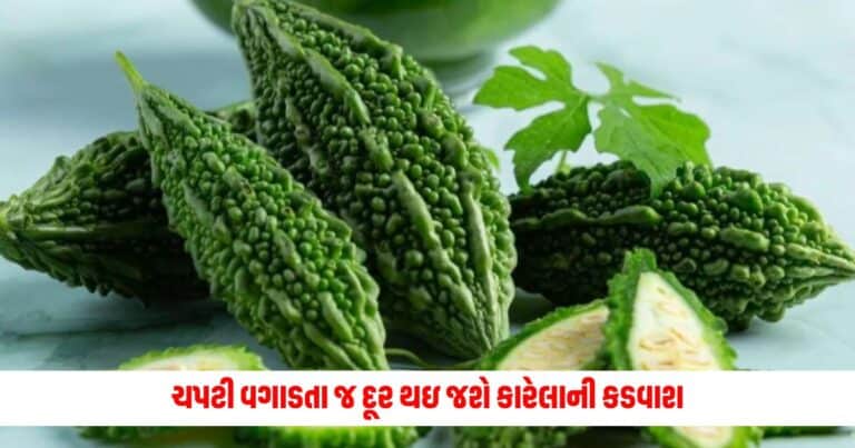 Tips And Tricks: ચપટી વગાડતા જ દૂર થઇ જશે કારેલાની કડવાશ, બસ ફોલો કરી લ્યો આ ટિપ્સ 