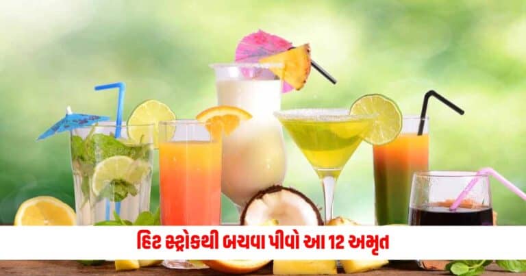 Summer Tips : બળબળતો તડકો અને ગાંડા કરી દેતી લૂ! હિટ સ્ટ્રોકથી બચવા પીવો આ 12 અમૃત