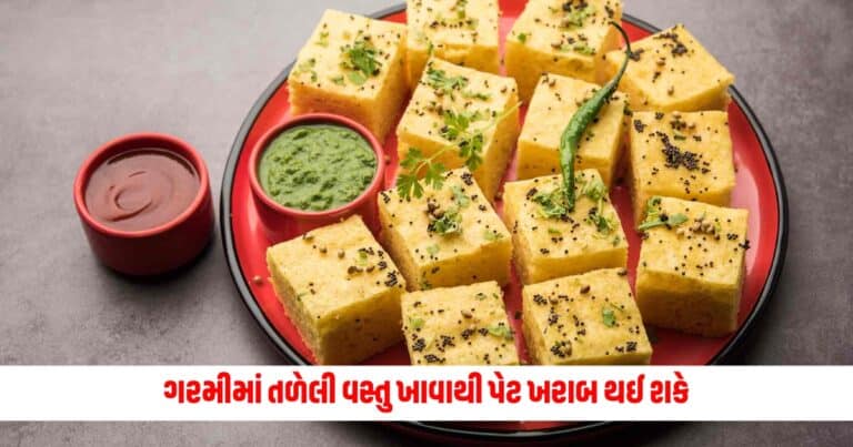 Food News: ગરમીમાં તળેલી વસ્તુ ખાવાથી પેટ ખરાબ થઈ શકે, તમારા આહારમાં આ આરોગ્યપ્રદ વિકલ્પોનો સમાવેશ કરો.