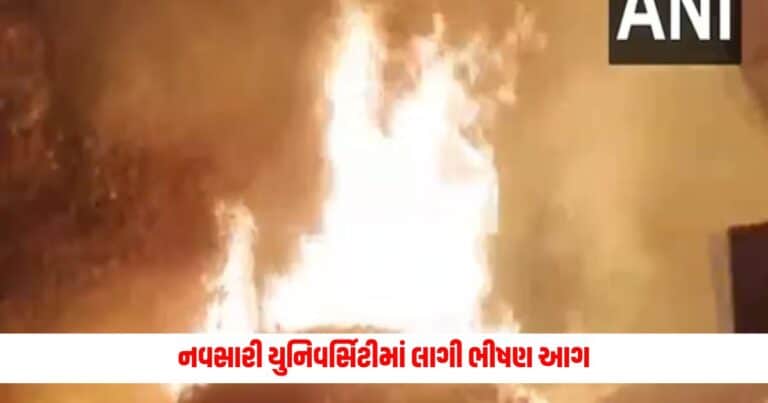 Navsari University : નવસારી યુનિવર્સિટીમાં લાગી ભીષણ આગ, ભરડામાં આવ્યો નર્સરી વિભાગ 