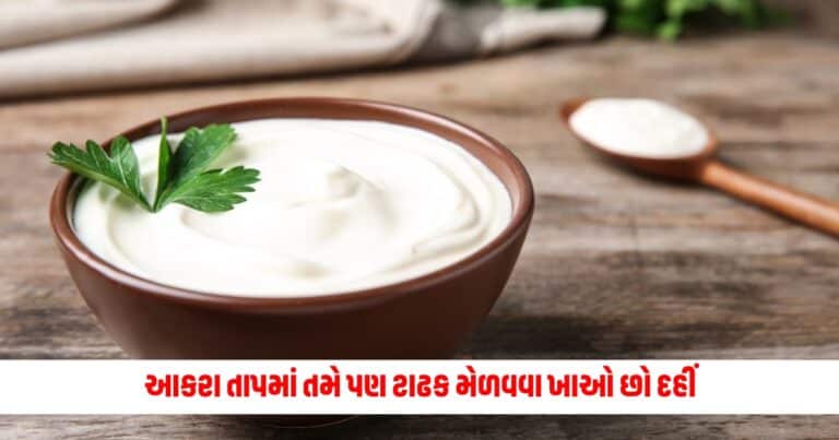 Dahi in Summer : આકરા તાપમાં તમે પણ ટાઢક મેળવવા ખાઓ છો દહીં, તો આવી ભૂલ ફાયદાના બદલે કરી શકે છે નુકશાન