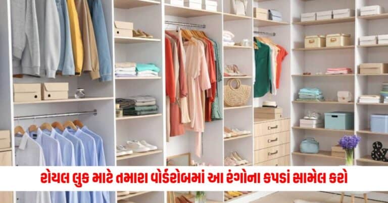 Fashion Tips: રોયલ લુક માટે તમારા વોર્ડરોબમાં આ રંગોના કપડાં સામેલ કરો.