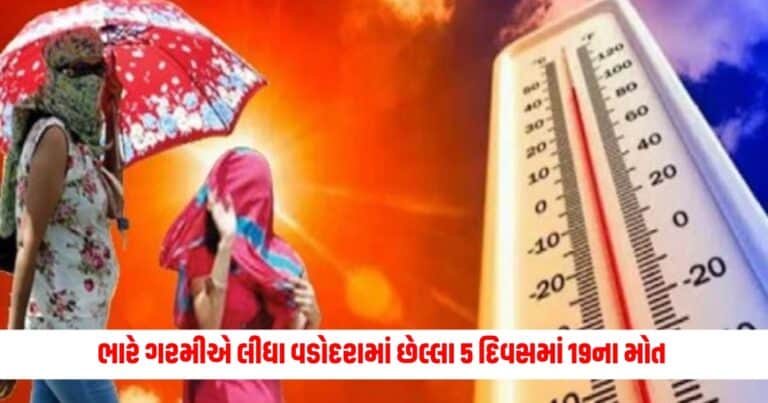 Breaking News : ગુજરાતની કિલર ગરમી! આ ભારે ગરમીએ લીધા વડોદરામાં છેલ્લા 5 દિવસમાં 19ના મોત