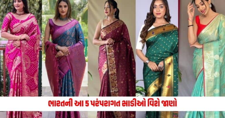 Types Of Sarees: કાંજીવરમથી લઈને બનારસી સાડી સુંધીની ભારતની આ 5 પરંપરાગત સાડીઓની જાણો વિશેષતાઓ