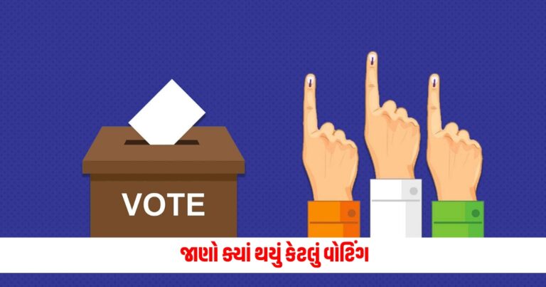 Lok Sabha Election : રાજ્યમાં 11 વાગ્યા સુધીમાં મતદાનનો આંકડો કુલ 25.41% ટકાએ પહોંચ્યો, જાણો ક્યાં થયું કેટલું વોટિંગ