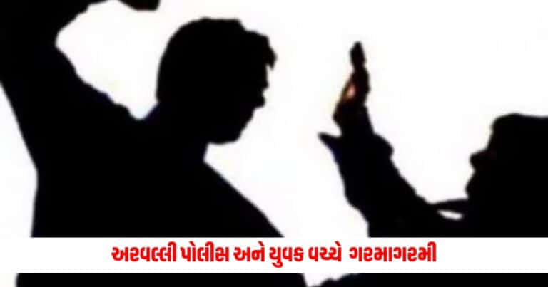 Lok Sabha Election : અરવલ્લી પોલીસ અને યુવક વચ્ચે આ કારણે થઇ હતી ગરમાગરમી