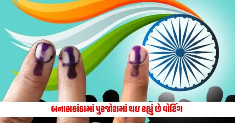 Lok Sabha Election : બનાસકાંઠામાં પુરજોશમાં થઇ રહ્યું છે વોટિંગ કોણ પડશે ભારે ગેનીબેન કે પછી રેખાબેન