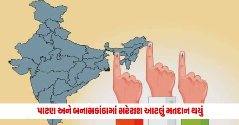 Loksabha Election 2024: પાટણ અને બનાસકાંઠામાં સરેરાશ આટલું મતદાન થયું