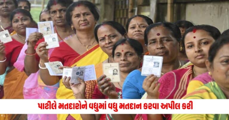 Loksabha Election 2024: પાટીલે મતદારોને વધુમાં વધુ મતદાન કરવા અપીલ કરી