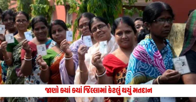 Loksabha Election 2024: ગુજરાતમાં ચૂંટણીનો પર્વ ખુબ ઉત્સાહથી ચાલી રહ્યો છે, જાણો ક્યાં ક્યાં જિલ્લામાં કેટલું થયું મતદાન