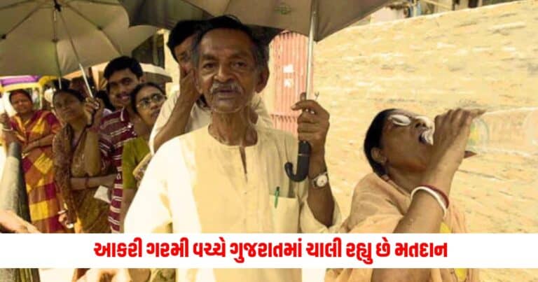 Loksabha Election 2024: આકરી ગરમી વચ્ચે ગુજરાતમાં ચાલી રહ્યુ છે મતદાન, સૌથી વધુ બનાસકાંઠામાં મતદાન