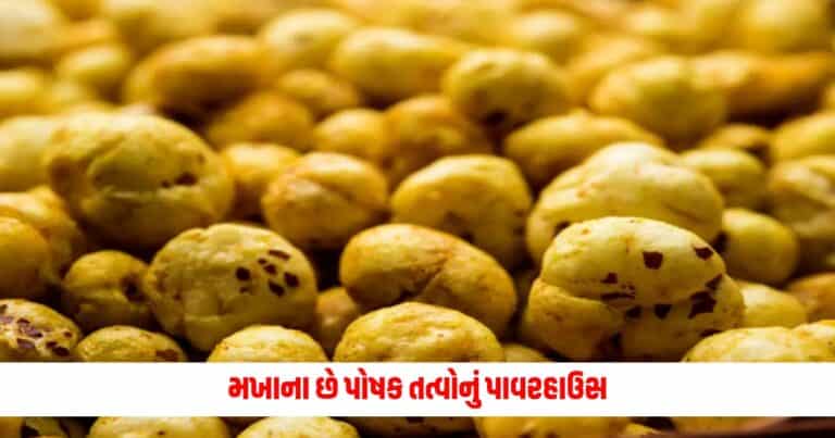 Benefits of Makhana: મખાના છે પોષક તત્વોનું પાવરહાઉસ, તેને રોજ ખાવાથી માત્ર એક જ નહિ પરંતુ મળશે આ 7 ફાયદા