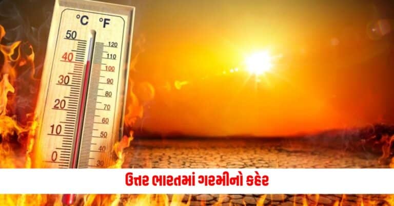 Heat Wave Alert: ઉત્તર ભારતમાં ગરમીનો કહેર, દિલ્હી-યુપીમાં 47 ડિગ્રીને પાર જશે ગરમીનો પારો