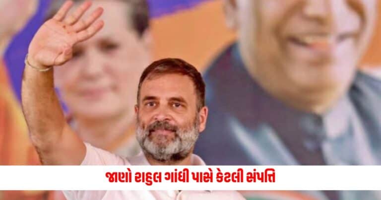 Rahul Gandhi Networth: ન તો ઘર, ન કાર, જાણો રાહુલ ગાંધી પાસે કેટલી સંપત્તિ