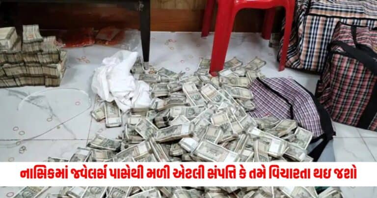 Income Tax Department : નાસિકમાં જ્વેલર્સ પાસેથી મળી એટલી સંપત્તિ કે તમે વિચારતા થઇ જશો, જપ્ત કરાઈ આટલી સંપત્તિ