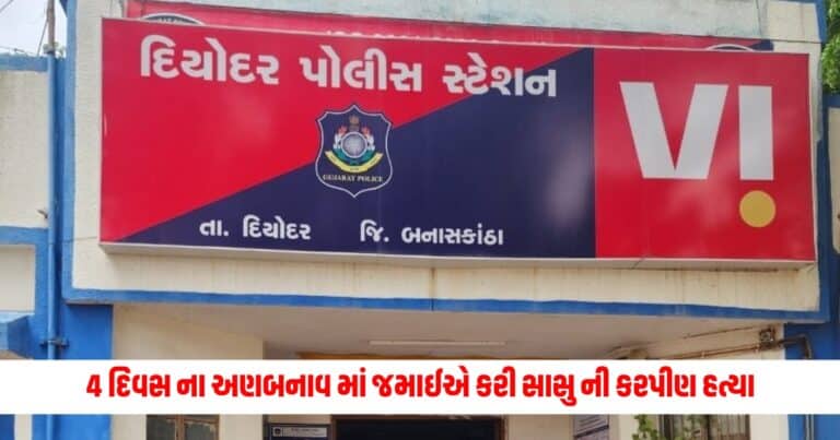 Banaskantha News: 4 દિવસ ના અણબનાવ માં જમાઈએ કરી સાસુ ની કરપીણ હત્યા