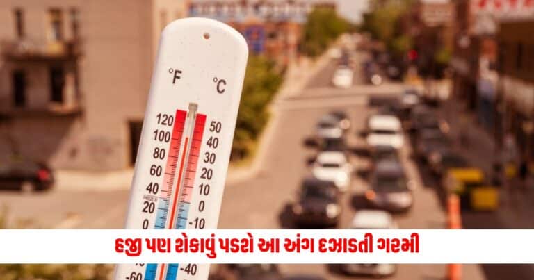 Heat Wave: હજી પણ શેકાવું પડશે આ અંગ દઝાડતી ગરમીમાં, હવામાન વિભાગે આ રાજ્યો માટે રેડ એલર્ટ જાહેર કર્યું