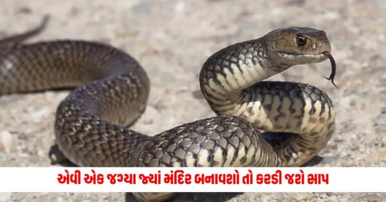 Strange Place : એવી એક જગ્યા જ્યાં મંદિર બનાવશો તો કરડી જશે સાપ , જાણો રહસ્ય