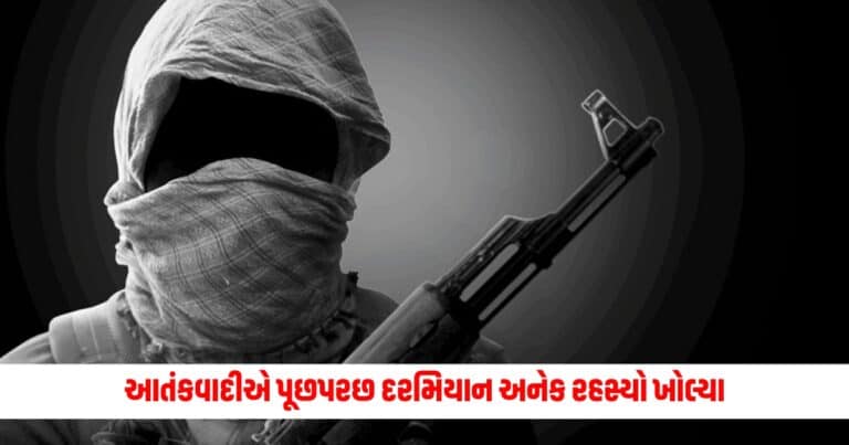 Gujarat News : પાકિસ્તાની હેન્ડલર આપવાનો હતો હુમલાની માહિતી, ગુજરાતમાં ઝડપાયેલા આતંકવાદીએ પૂછપરછ દરમિયાન અનેક રહસ્યો ખોલ્યા