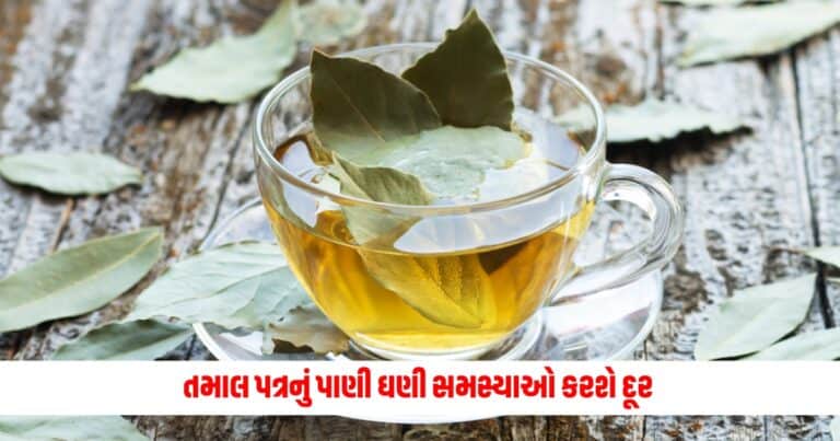 Tej Patta Water : સવારે ખાલી પેટ પી લો તમાલ પત્રનું પાણી, પેટ ફૂલવા સહીત ઘણી સમસ્યાઓ થી મળશે રાહત