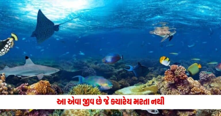 Offbeat News: આ એવા જીવ છે જે ક્યારેય મરતા નથી, જાણો કારણ