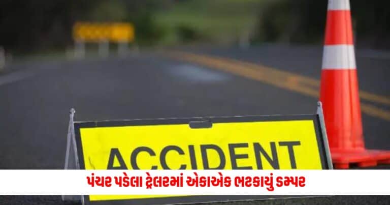 Vadodara News : પંચર પડેલા ટ્રેલરમાં એકાએક ભટકાયું ડમ્પર, નીપજ્યું એકનું મોત