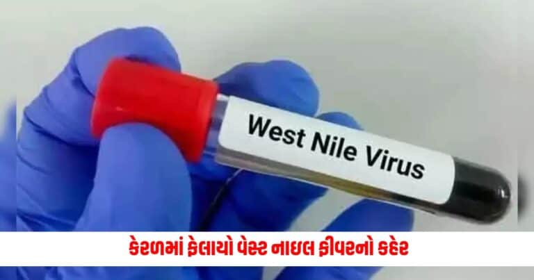 West Nile Fever : હવે કેરળમાં ફેલાયો વેસ્ટ નાઇલ ફીવરનો કહેર, ત્રણ જિલ્લામાં એલર્ટ જારી; જાણો શું છે આ જીવલેણ બીમારી