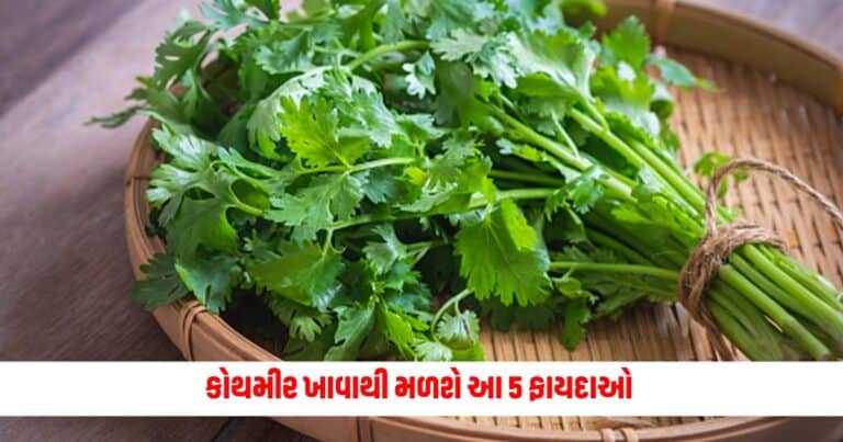 Coriander Benefits: લીલી હોય કે સુકાયેલી, ગજબના આ 5 ફાયદાઓ મળશે કોથમીર ખાવાથી