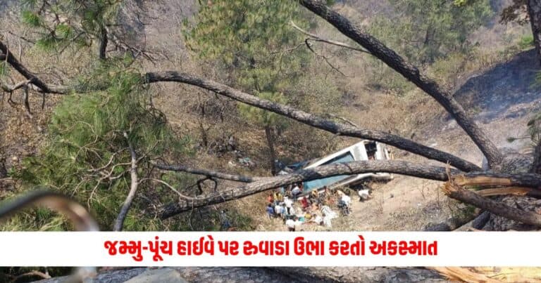 National News : જમ્મુ-પૂંચ હાઈવે પર રુવાડા ઉભા કરતો અકસ્માત, મુસાફરોથી ભરેલી બસ ખાડામાં પલ્ટી, 20ના મોત