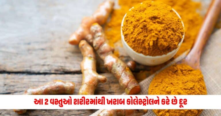 Cholesterol: આ 2 વસ્તુઓ શરીરમાંથી ખરાબ કોલેસ્ટ્રોલને કરે છે દૂર, આ રીતે કરો ઉપયોગ