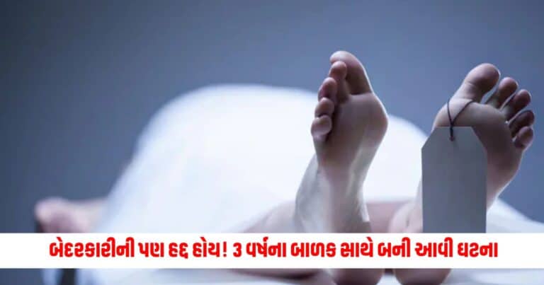 National News: બેદરકારીની પણ હદ્દ હોય! ગાડીથી ઉતારવા સમયે 3 વર્ષના બાળક સાથે બની આવી ઘટના