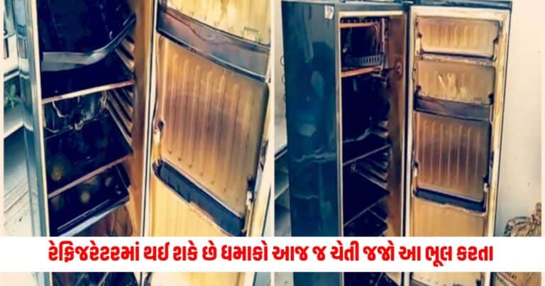 Refrigerator Blast: તમે દરરોજ આ કરતા હોય આ ભૂલ તો થઇ શકે છે રેફ્રિજરેટરમાં વિસ્ફોટ, થઇ જજો સાવધાન