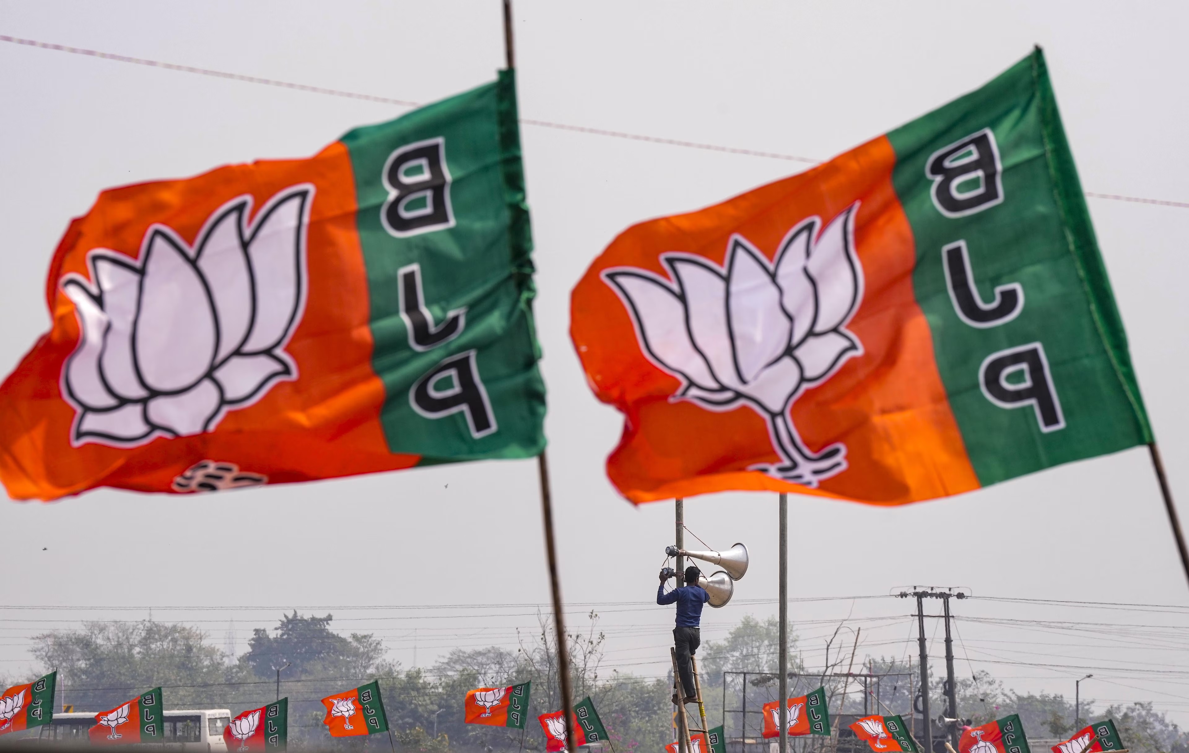 Lok Sabha Election : ભાજપે આપી ચૂંટણીની કંકોત્રી : 10 દેશોના 187 પ્રતિનિધિઓ આવશે ભારતની ચૂંટણી જોવા .. આવો પધારો ભાજપને જાણો.