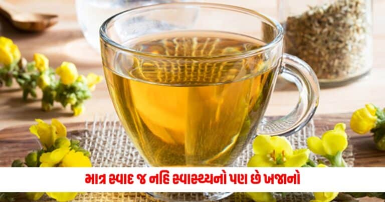 Mulin Tea Benefits: માત્ર સ્વાદ જ નહિ સ્વાસ્થ્યનો પણ છે ખજાનો, જાણો શું છે તેના ફાયદા.