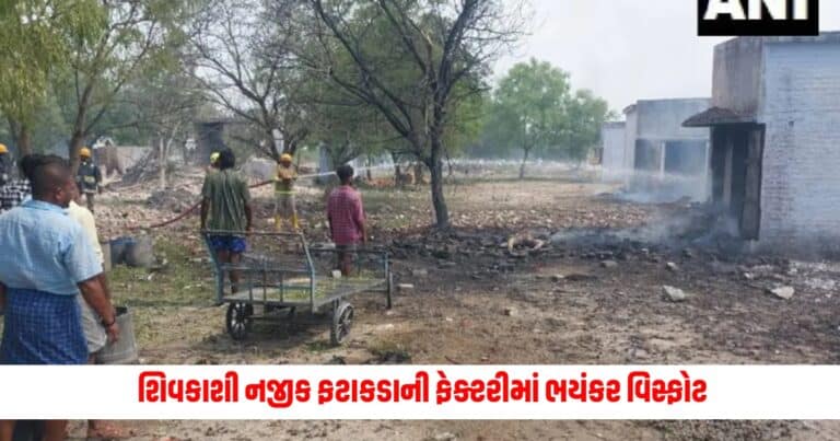 Explosion At Fireworks Factory : તમિલનાડુમાં શિવકાશી નજીક ફટાકડાની ફેક્ટરીમાં થયો ભયંકર વિસ્ફોટ, થયા 8 લોકોના મૃત્યુ