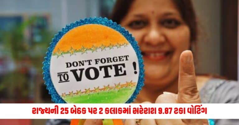 Lok Sabha Election : રાજ્યની 25 બેઠક પર 2 કલાકમાં સરેરાશ 9.87 ટકા વોટિંગ, બનાસકાંઠામાં થયુ સૌથી વધુ 12.28% મતદાન