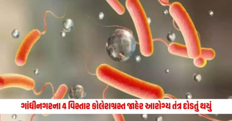 Gandhinagar News : ગાંધીનગરના 4 વિસ્તાર કોલેરાગ્રસ્ત જાહેર આરોગ્ય તંત્ર દોડતું થયું