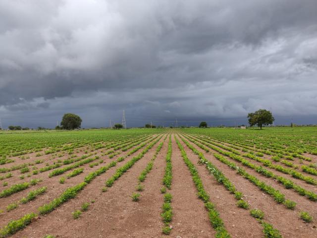 Gujarat Monsoon Update: વહેલો આવશે વરસાદ, ગુજરાતમાં ક્યારે ચોમાસું આવશે, આ રહી નવી આગાહી