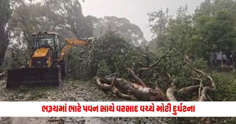 Bharuch News: ભારે પવન સાથે વરસાદ વચ્ચે મોટી દુર્ઘટના, વૃક્ષ ધરાશાયી થતાં 2નાં મોત, 4 ઘાયલ