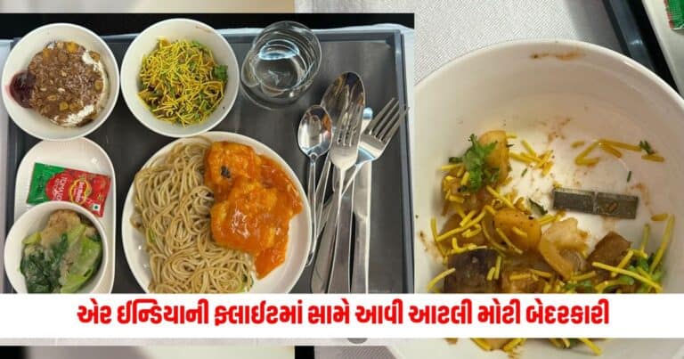 Air India: એર ઈન્ડિયાની ઈન્ટરનેશનલ ફ્લાઈટમાં સામે આવી આટલી મોટી બેદરકારી, ફૂડમાંથી નીકળી આવ વસ્તુ