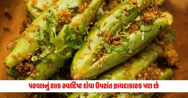 Food News : પરવલનું શાક સ્વાદિષ્ટ હોવા ઉપરાંત વજન ઘટાડવામાં પણ છે ફાયદાકારક, નોંધી લો તેની રેસિપી