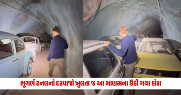 Offbeat News: ભૂગર્ભ ટનલનો દરવાજો ખુલતા જ આ માણસના ઉડી ગયા હોશ, જાણો શું હતું અંદર