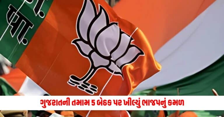 Gujarat Lok Sabha Election Result 2024 : ગુજરાતની તમામ 5 બેઠક પર ખીલ્યું ભાજપનું કમળ, અર્જુન મોઢવાડિયાથી લઈને પૂનમ માડમ સુધીના આ નેતાઓ આગળ