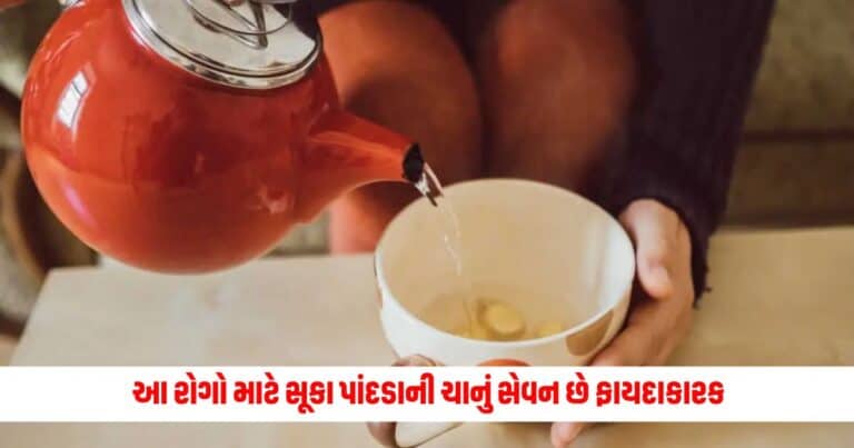 Health News : તણાવ અને કબજિયાત જેવા રોગો માટે રાત્રે આ સૂકા પાંદડાની ચાનું સેવન કરો! કેન્સર માટે પણ અસરકારક છે